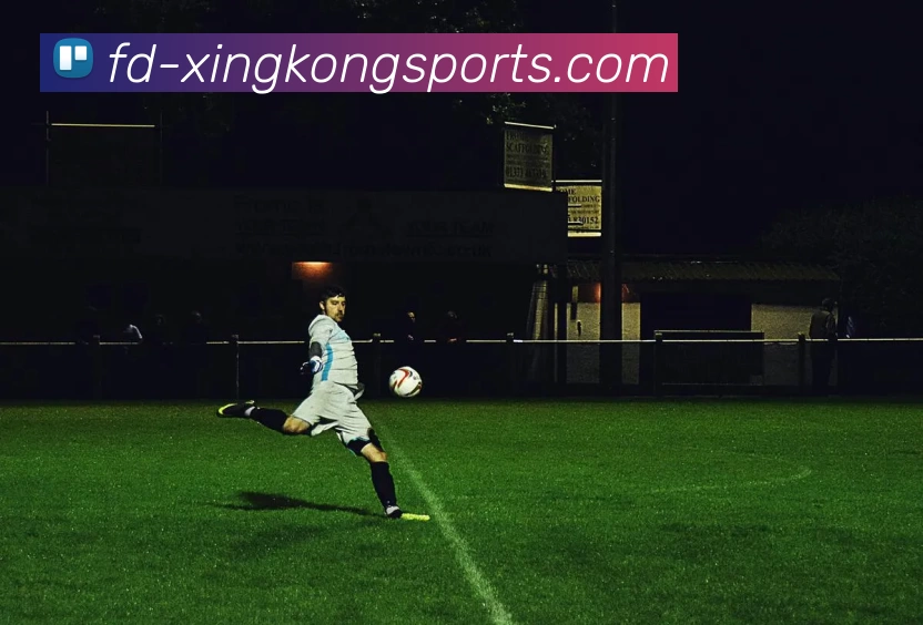 星空体育app平台生态图